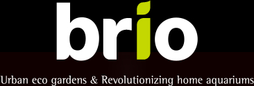 logo_brio